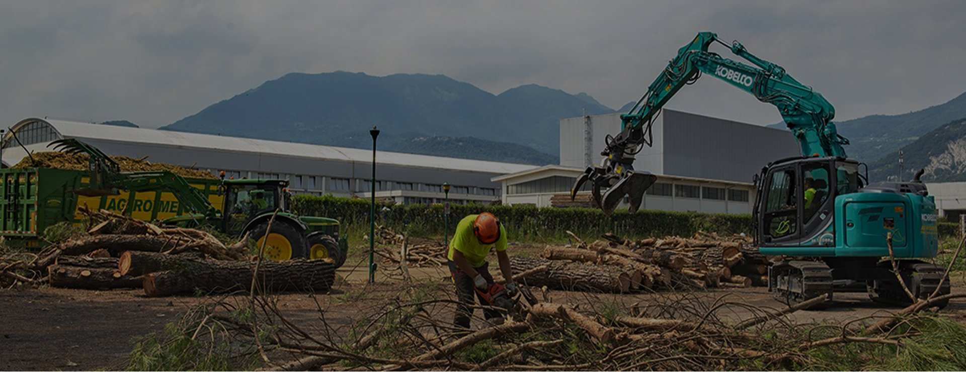 foto alberi tagliati con gli operai